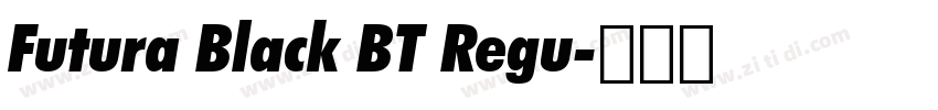 Futura Black BT Regu字体转换